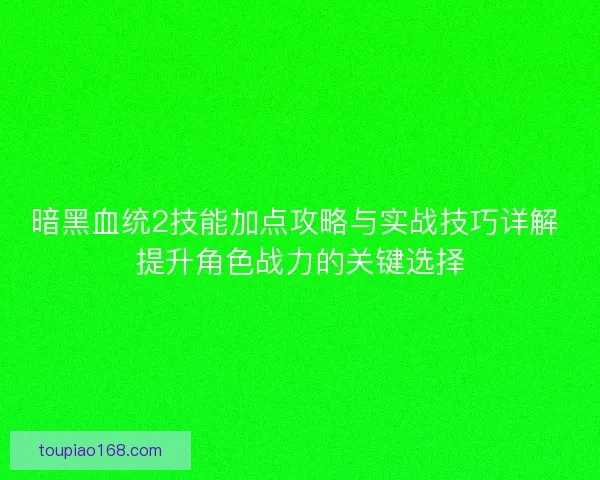 暗黑血统2技能加点攻略与实战技巧详解 提升角色战力的关键选择