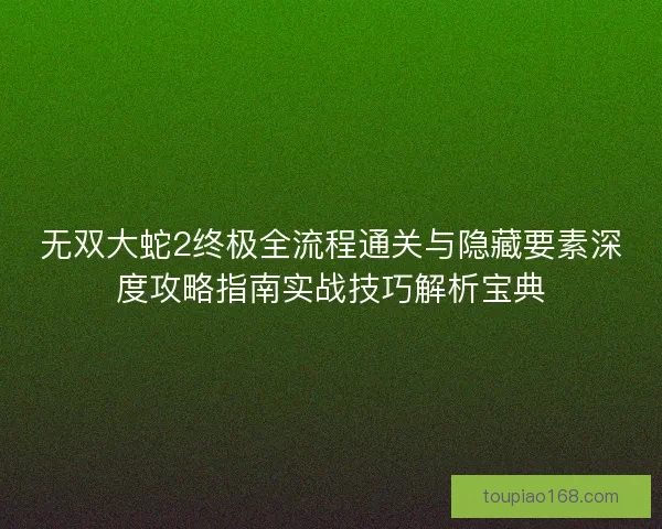 无双大蛇2终极全流程通关与隐藏要素深度攻略指南实战技巧解析宝典
