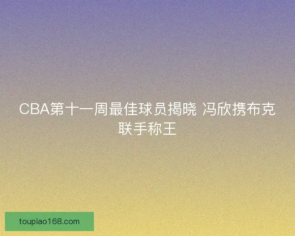CBA第十一周最佳球员揭晓 冯欣携布克联手称王