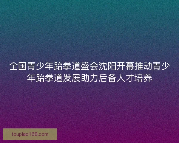全国青少年跆拳道盛会沈阳开幕推动青少年跆拳道发展助力后备人才培养